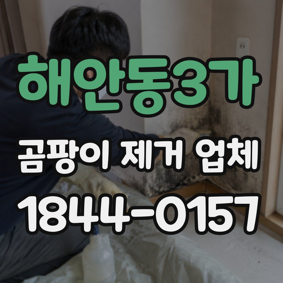 해안동3가 곰팡이 제거 업체