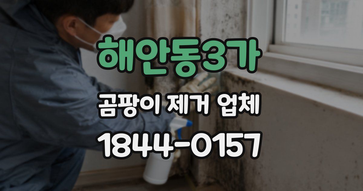 해안동3가 곰팡이 제거 업체