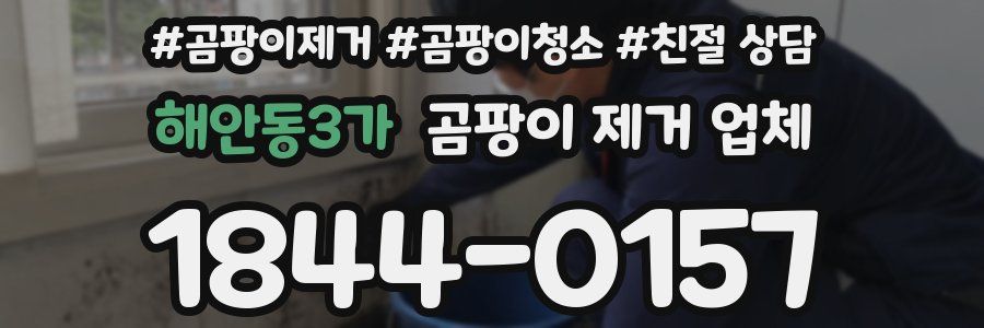 해안동3가 곰팡이 제거 업체