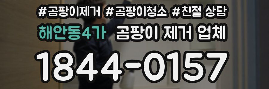 해안동4가 곰팡이 제거 업체