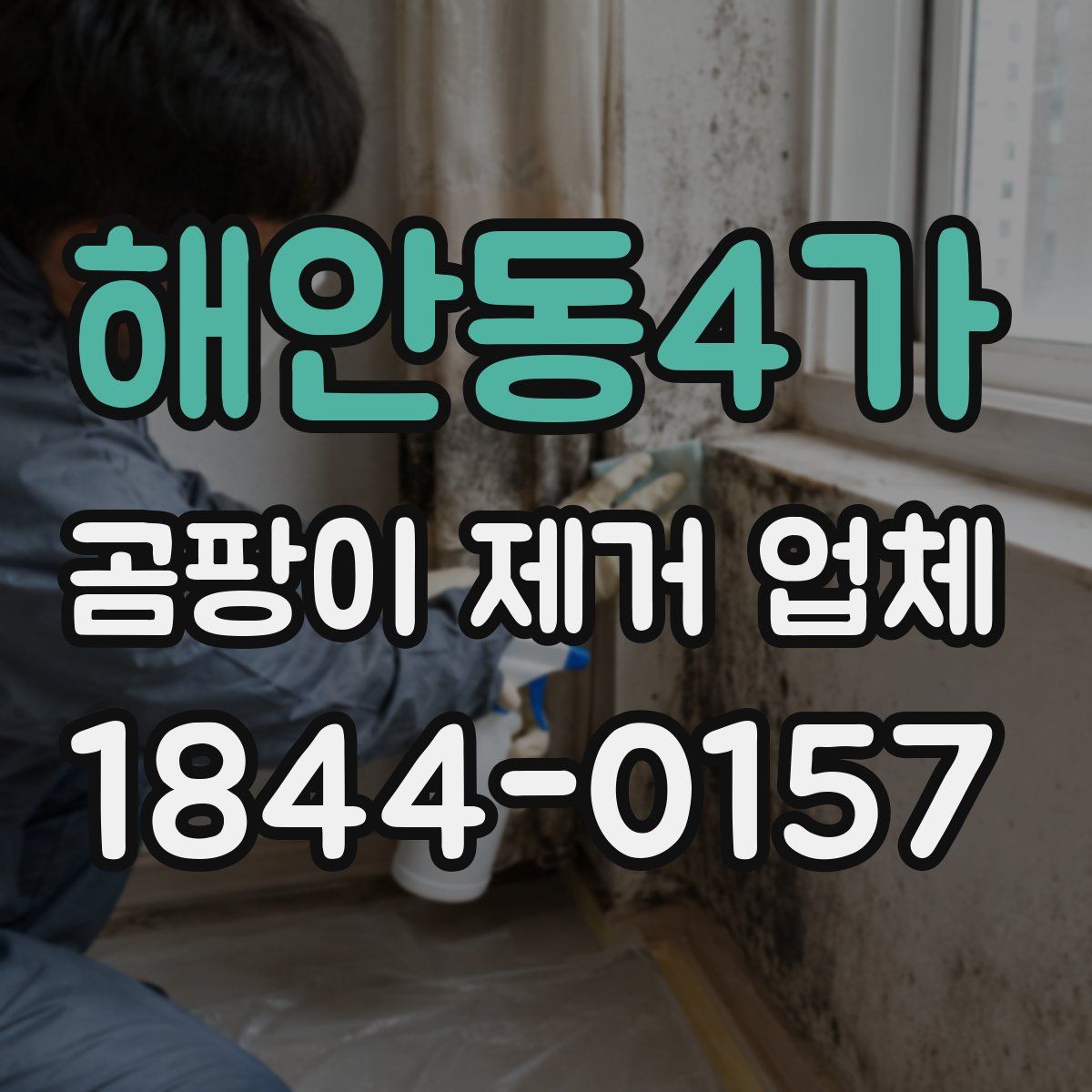 해안동4가 곰팡이 제거 업체