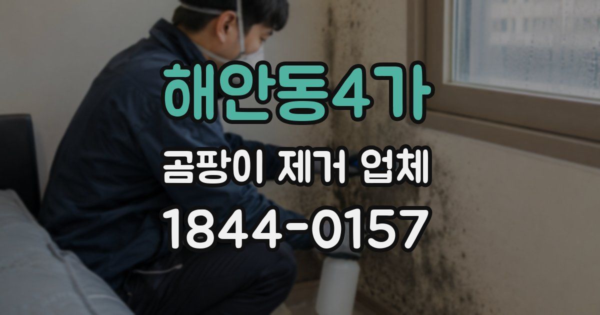 해안동4가 곰팡이 제거 업체