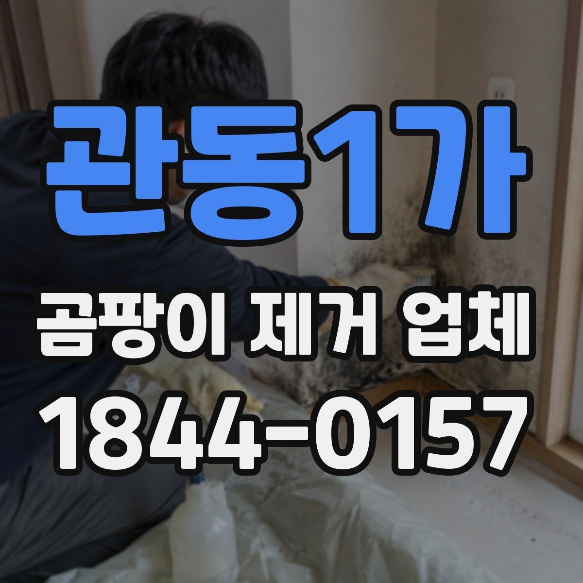 관동1가 곰팡이 제거 업체 서비스 범위와 진행 순서