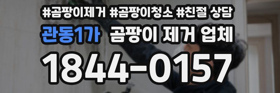관동1가 곰팡이 제거 업체