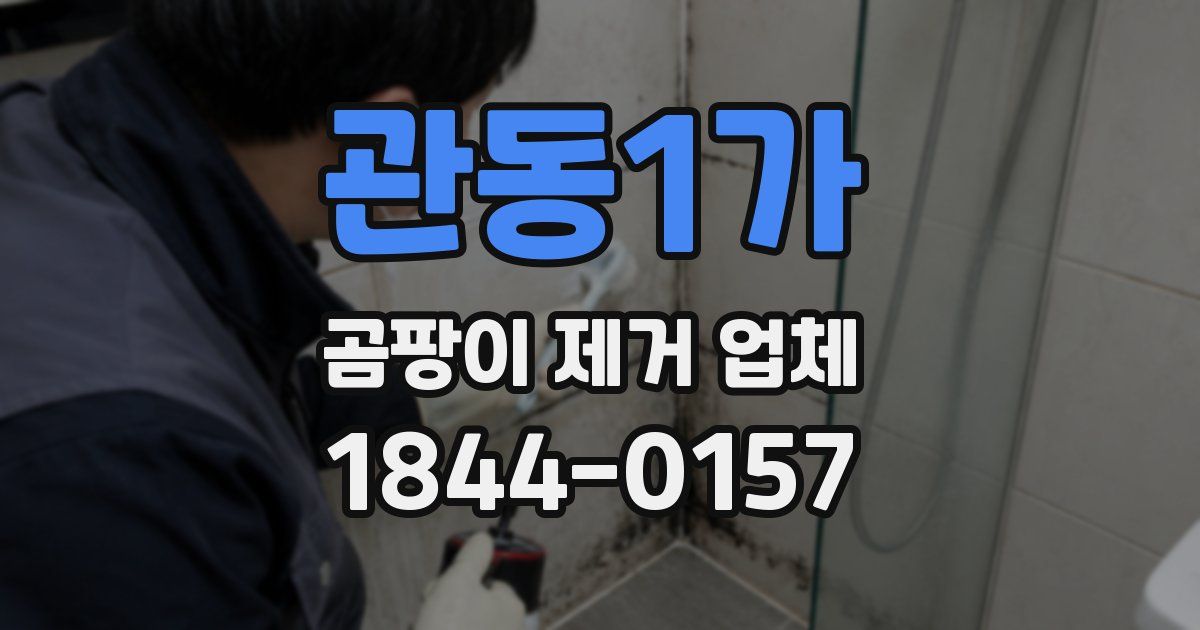 관동1가 곰팡이 제거 업체
