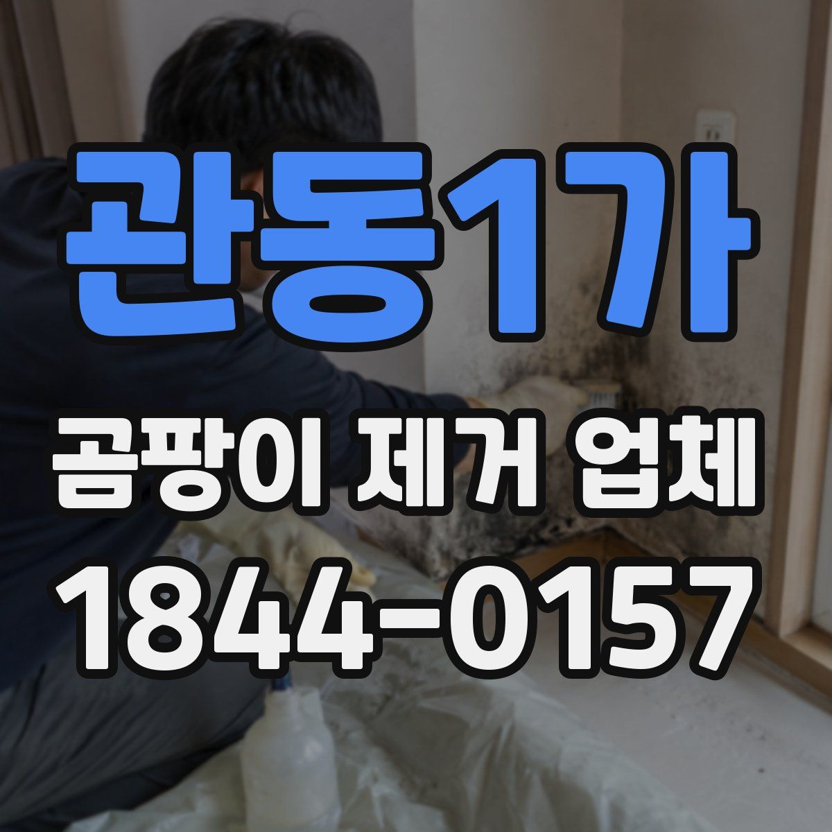 관동1가 곰팡이 제거 업체
