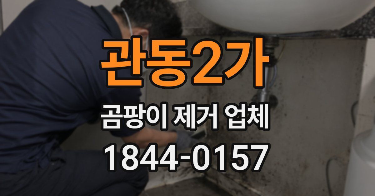 관동2가 곰팡이 제거 업체