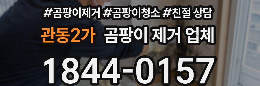 관동2가 곰팡이 제거 업체