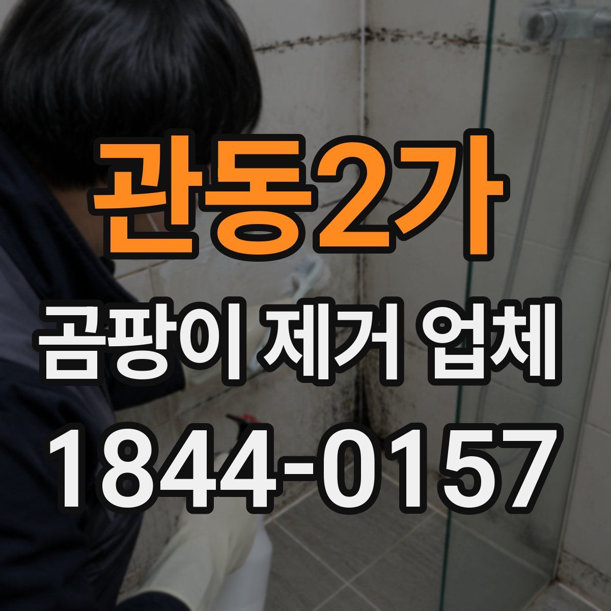 관동2가 곰팡이 제거 업체