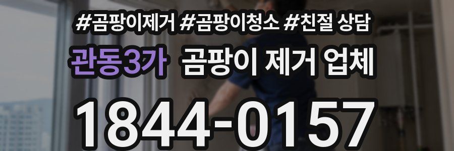 관동3가 곰팡이 제거 업체