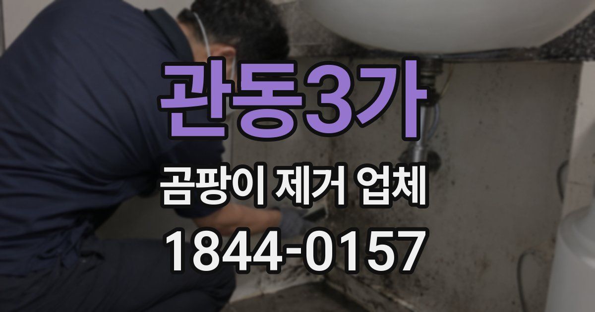 관동3가 곰팡이 제거 업체