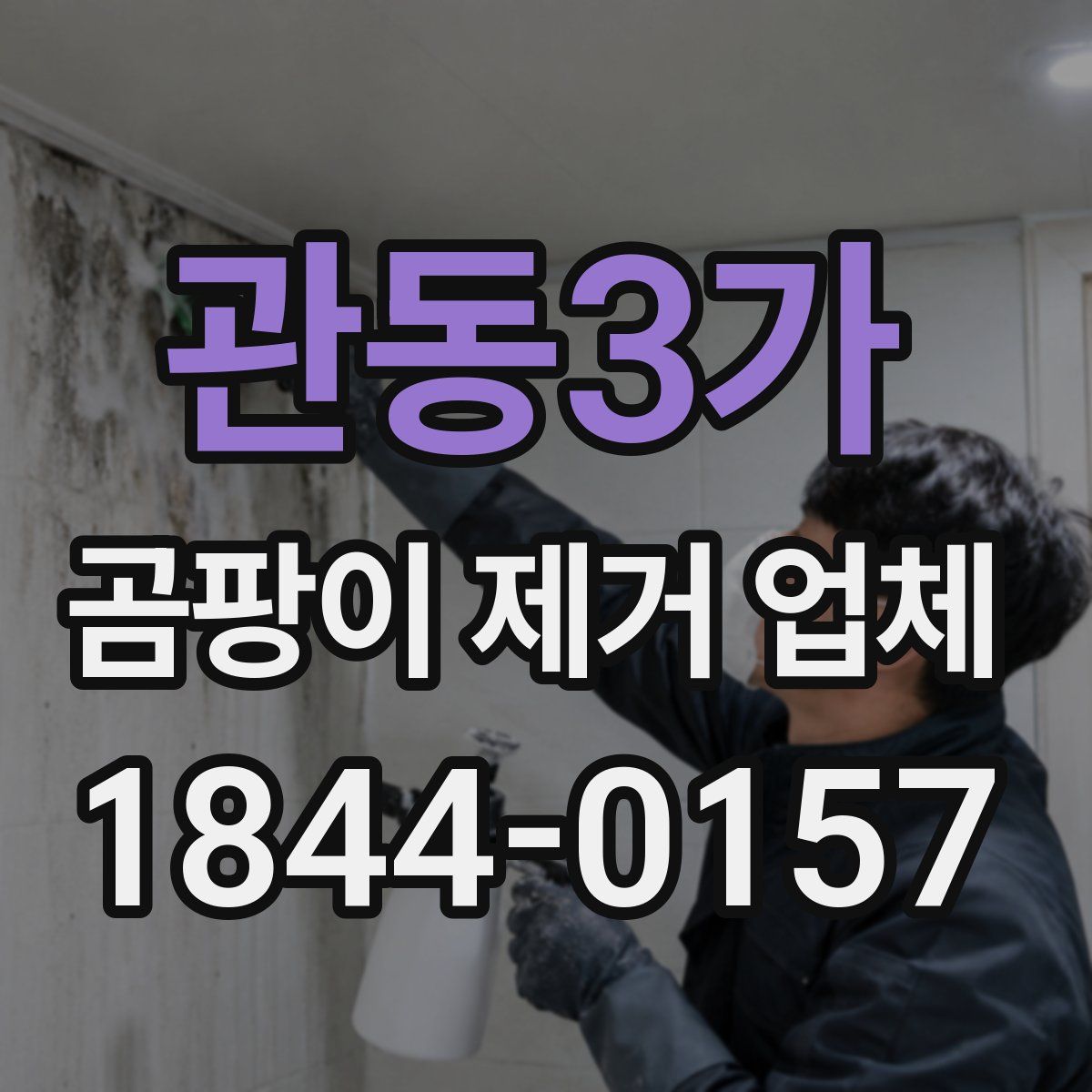 관동3가 곰팡이 제거 업체
