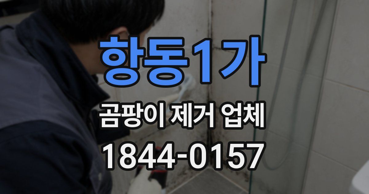항동1가 곰팡이 제거 업체