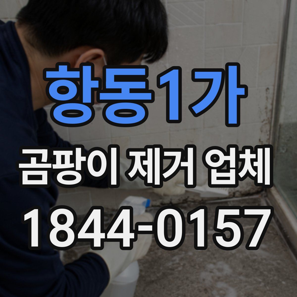 항동1가 곰팡이 제거 업체