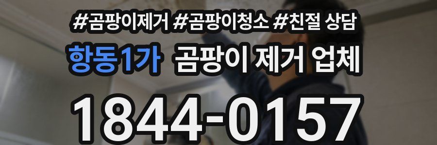 항동1가 곰팡이 제거 업체