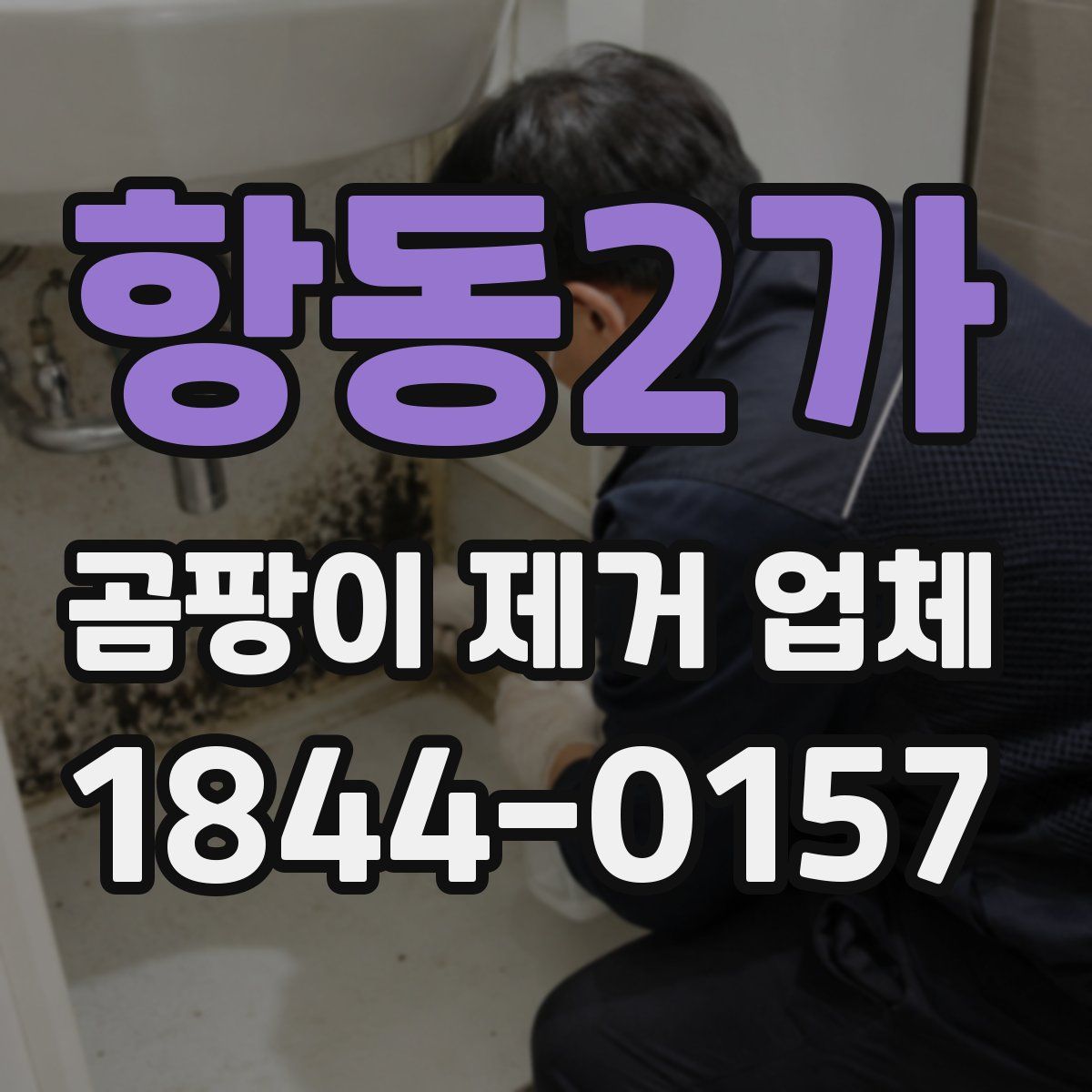 항동2가 곰팡이 제거 업체