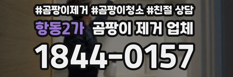 항동2가 곰팡이 제거 업체