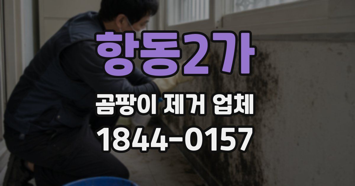 항동2가 곰팡이 제거 업체