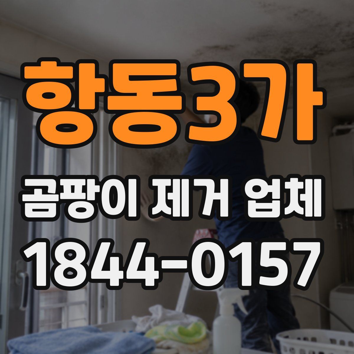 항동3가 곰팡이 제거 업체