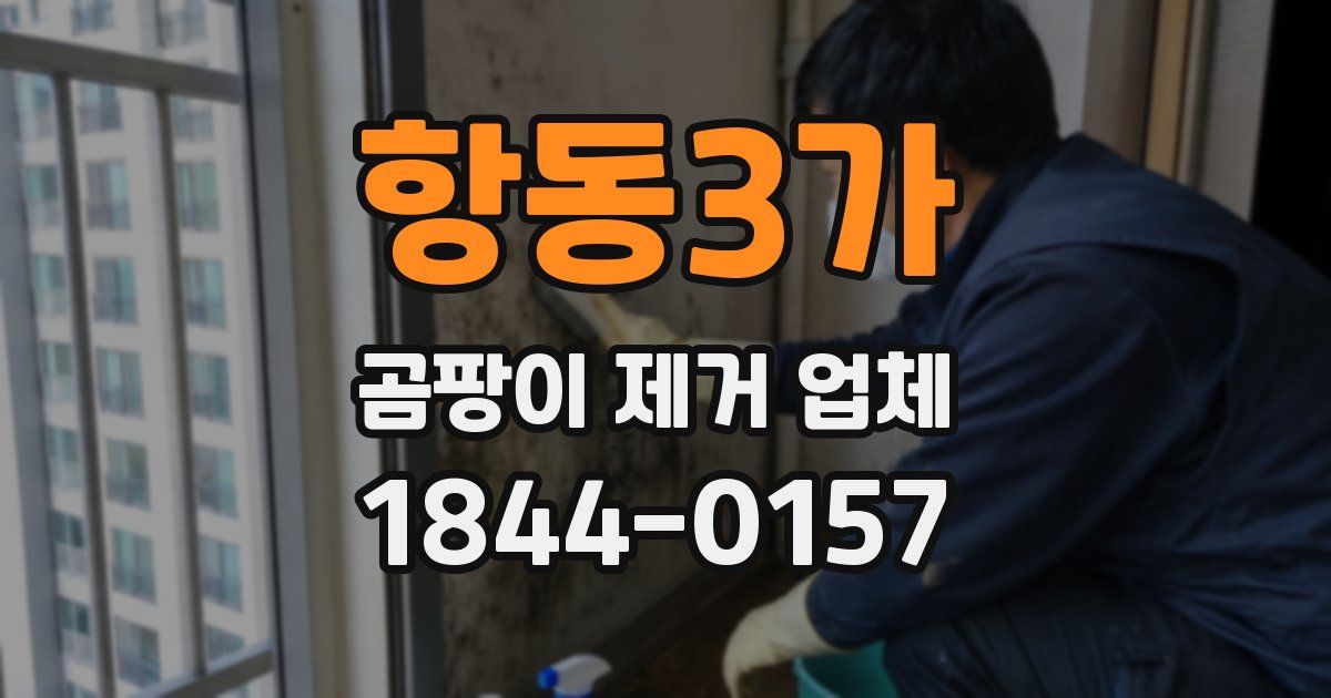 항동3가 곰팡이 제거 업체