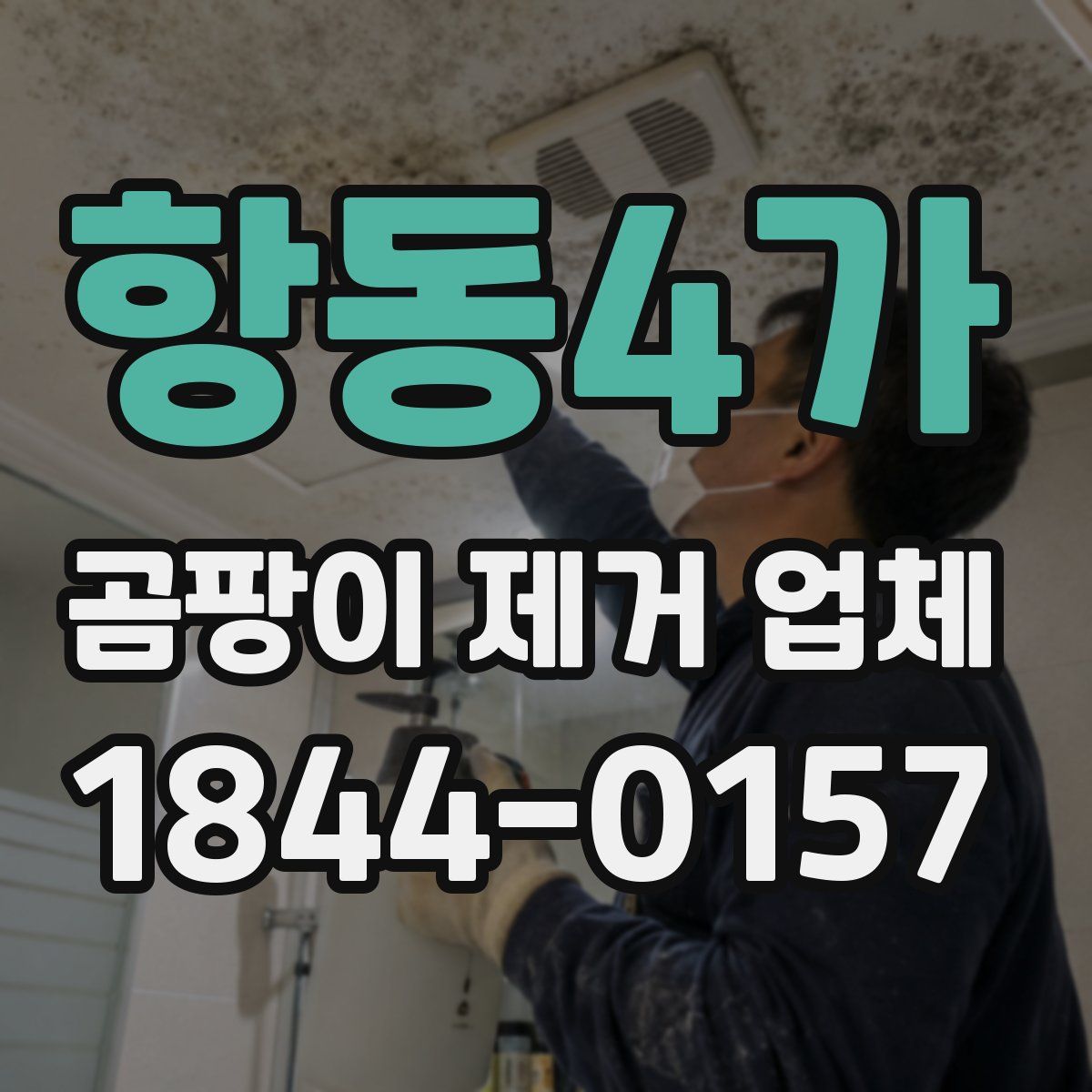 항동4가 곰팡이 제거 업체
