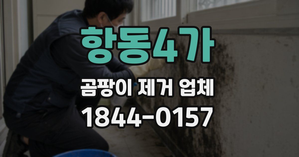 항동4가 곰팡이 제거 업체