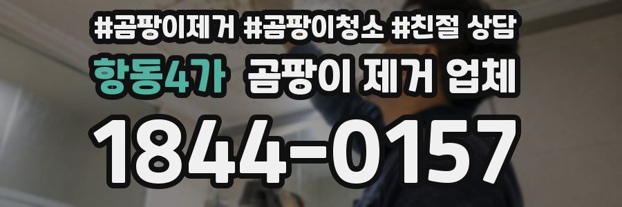 항동4가 곰팡이 제거 업체