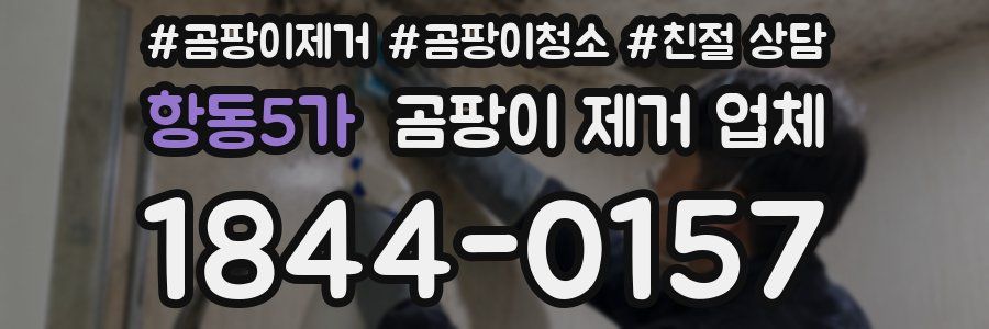 항동5가 곰팡이 제거 업체