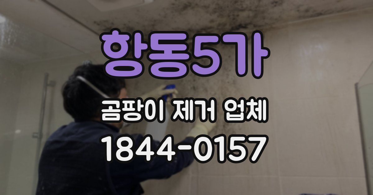 항동5가 곰팡이 제거 업체
