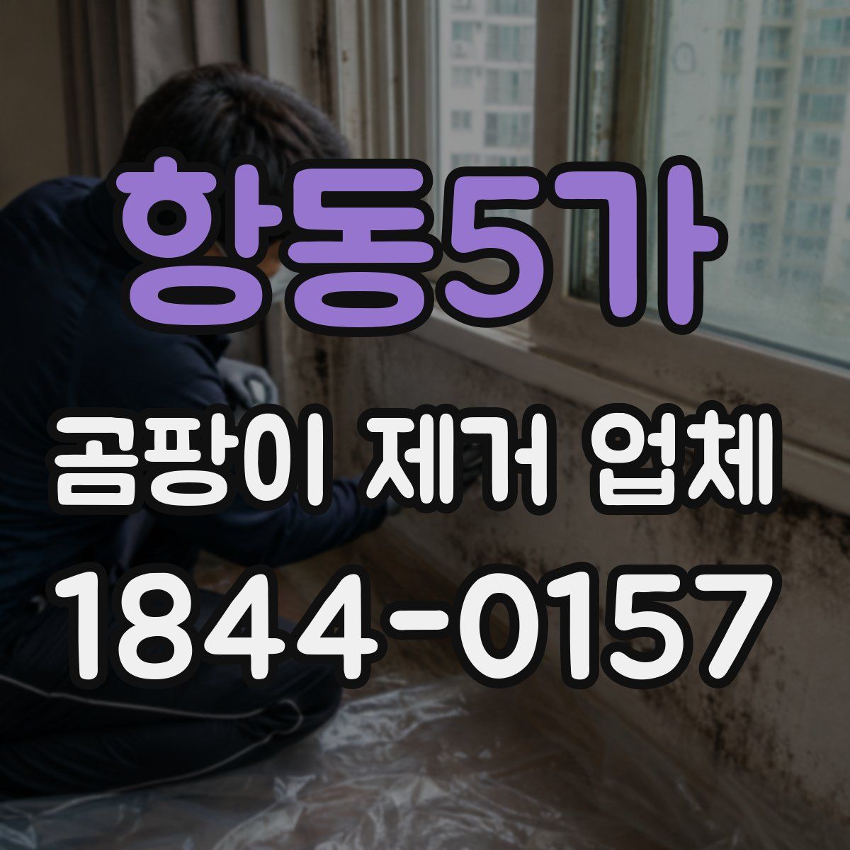 항동5가 곰팡이 제거 업체