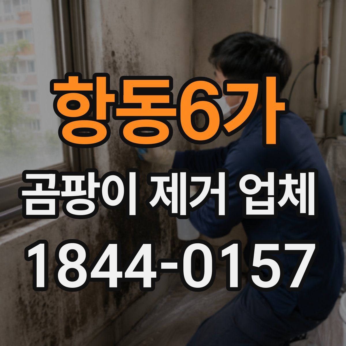 항동6가 곰팡이 제거 업체