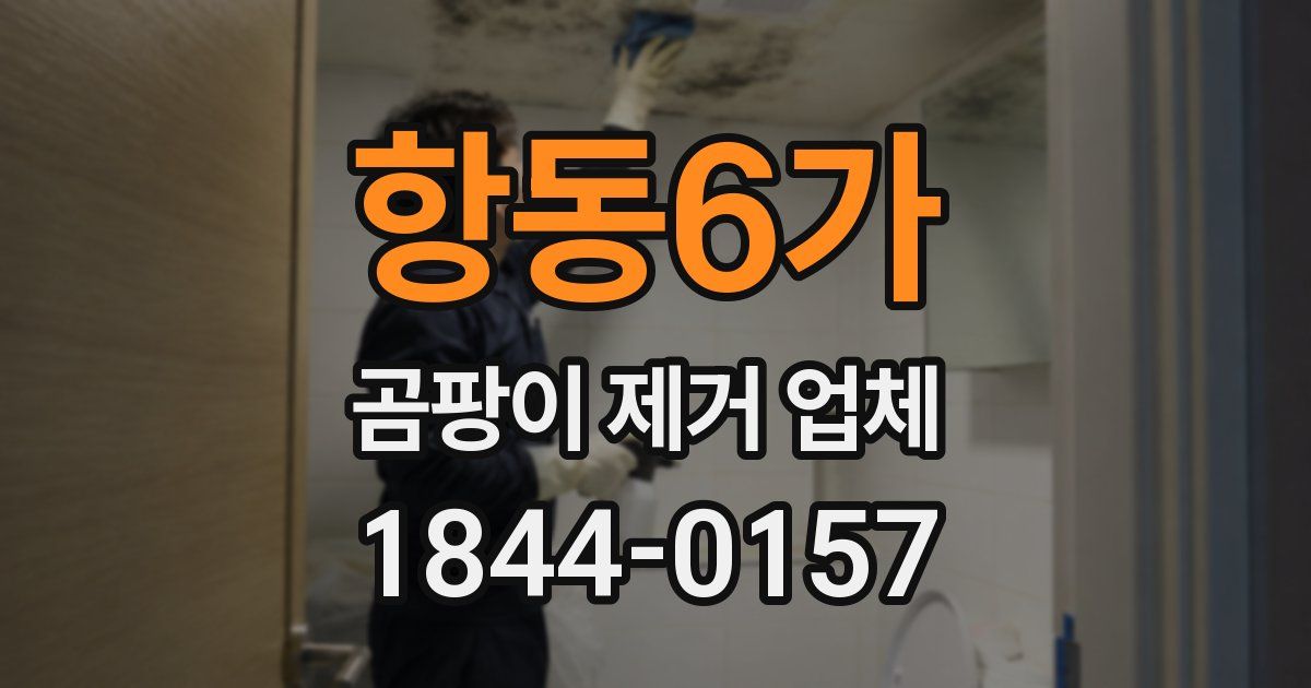 항동6가 곰팡이 제거 업체