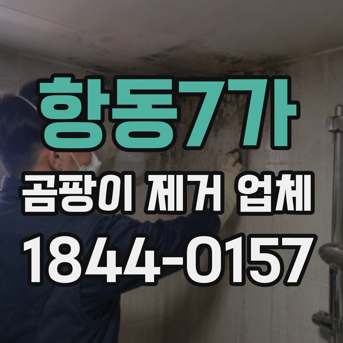 항동7가 곰팡이 제거 업체