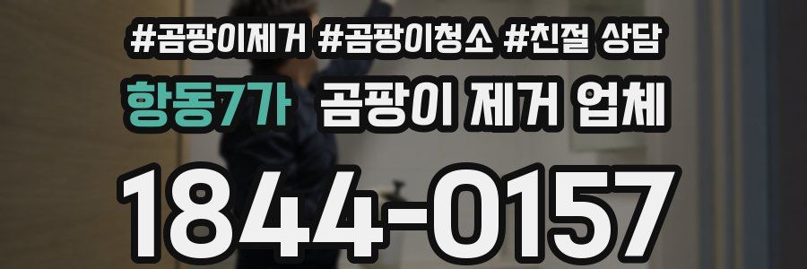 항동7가 곰팡이 제거 업체
