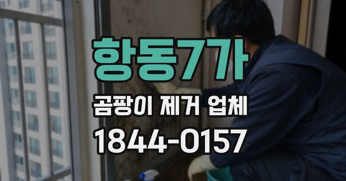 항동7가 곰팡이 제거 업체