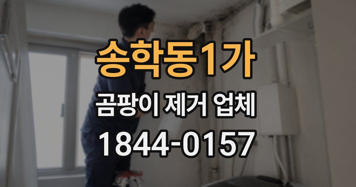 송학동1가 곰팡이 제거 업체