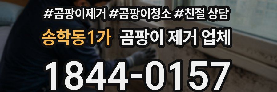 송학동1가 곰팡이 제거 업체