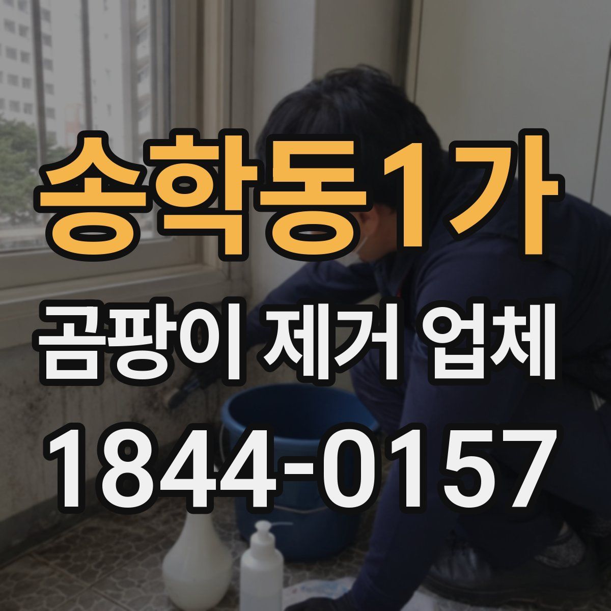 송학동1가 곰팡이 제거 업체