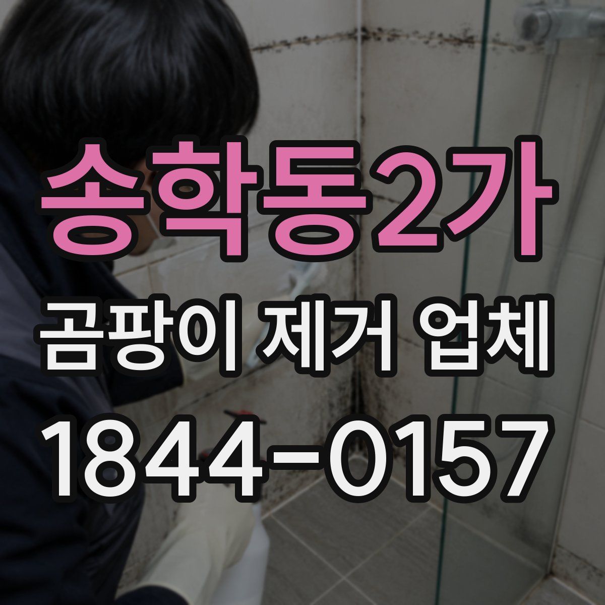 송학동2가 곰팡이 제거 업체