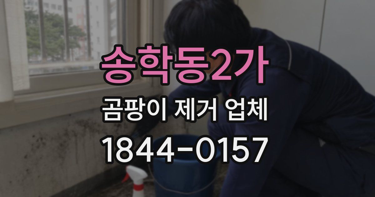 송학동2가 곰팡이 제거 업체