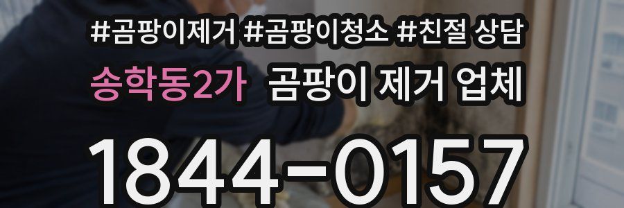 송학동2가 곰팡이 제거 업체