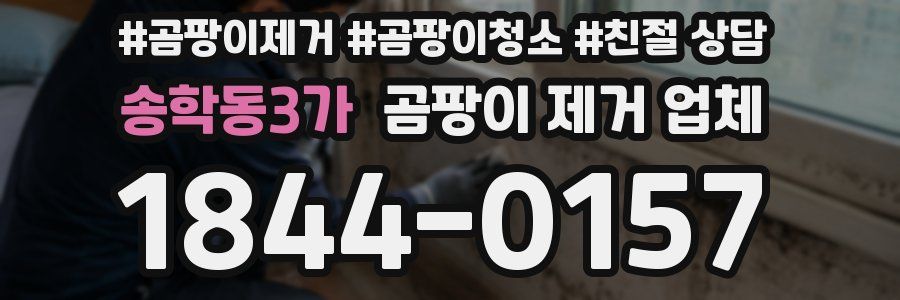 송학동3가 곰팡이 제거 업체