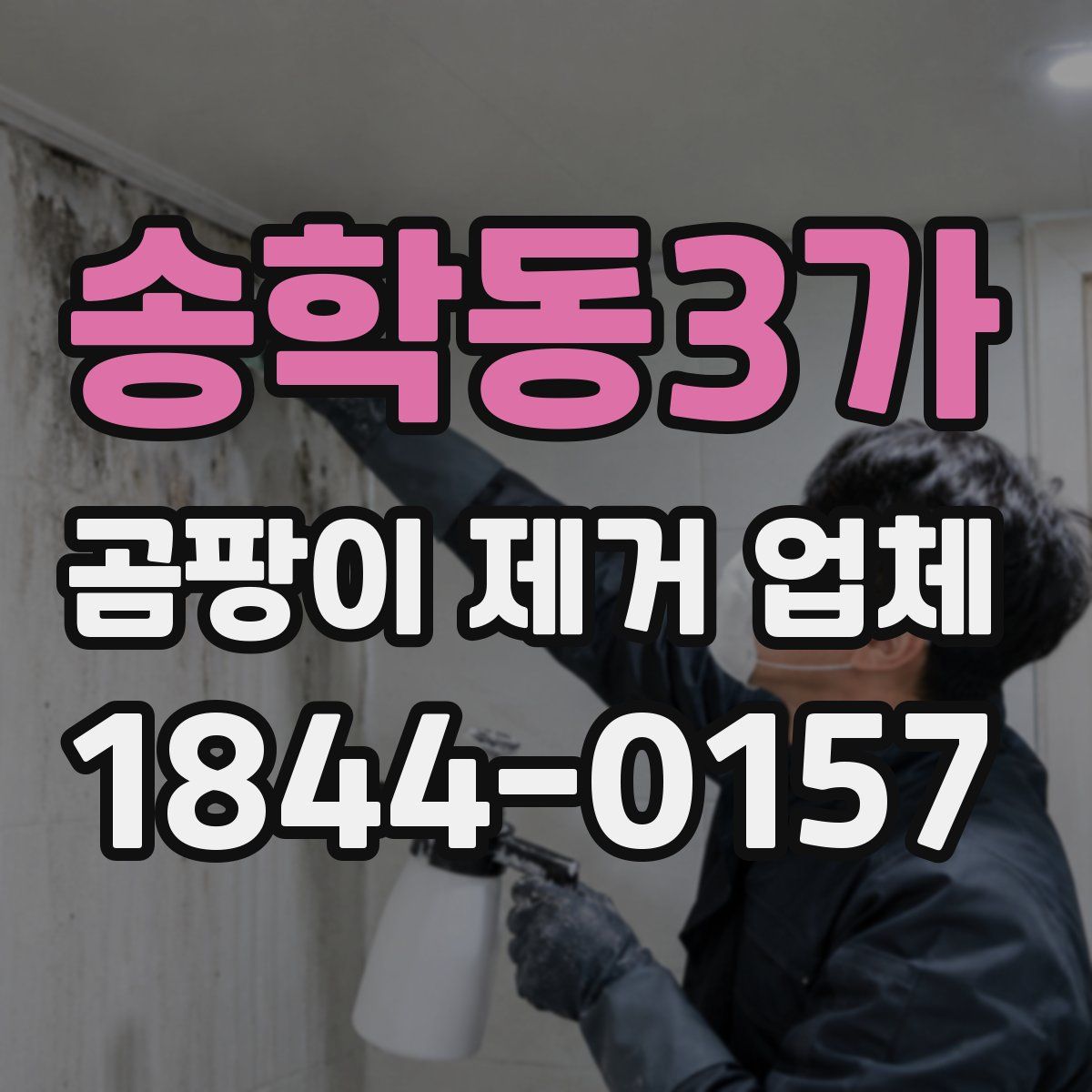 송학동3가 곰팡이 제거 업체