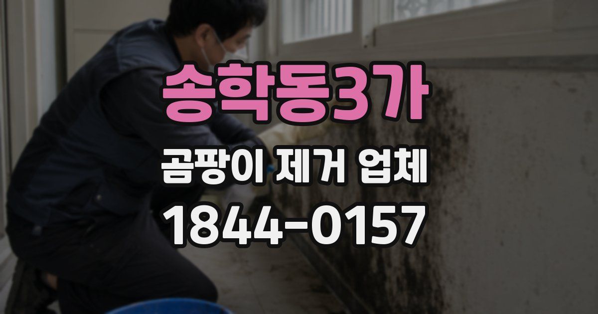 송학동3가 곰팡이 제거 업체