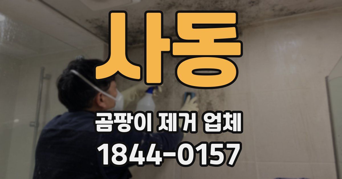 사동 곰팡이 제거 업체
