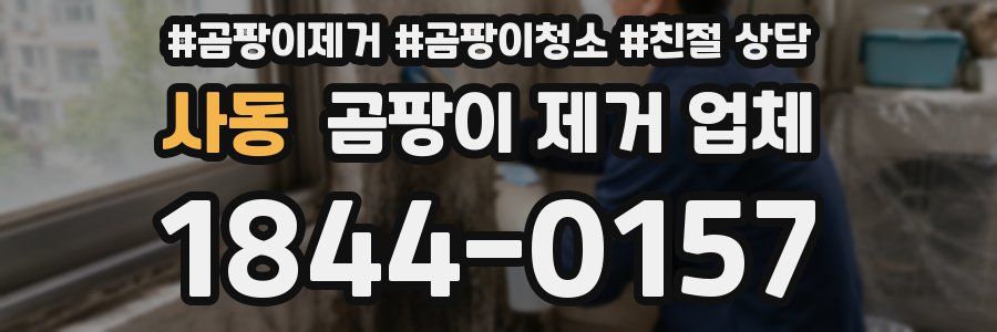 사동 곰팡이 제거 업체