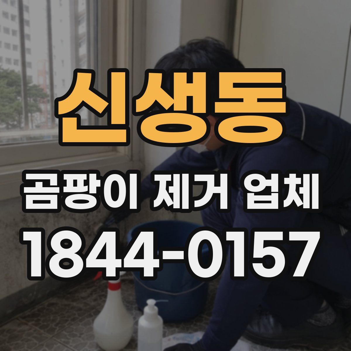 신생동 곰팡이 제거 업체