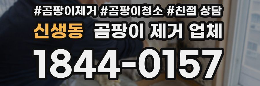신생동 곰팡이 제거 업체