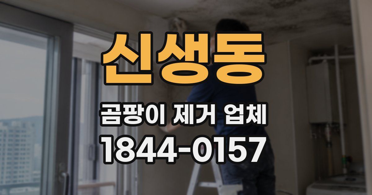 신생동 곰팡이 제거 업체