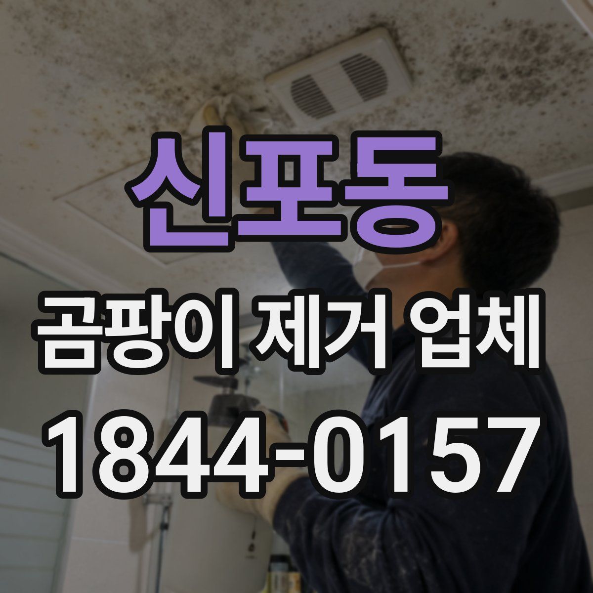 신포동 곰팡이 제거 업체